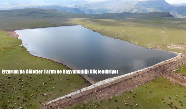 Erzurum, Gölet Yapımında Türkiye’ye Örnek Oluyor: Tarım ve Hayvancılıkta Büyük Katkı