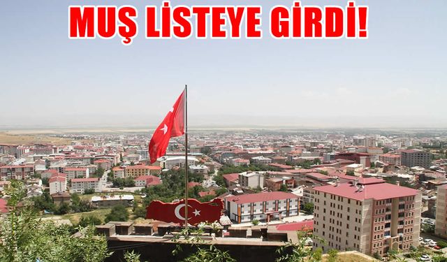 Türkiye’nin en yüksek kira getirisi sunan illeri açıklandı: Muş listeye girdi!
