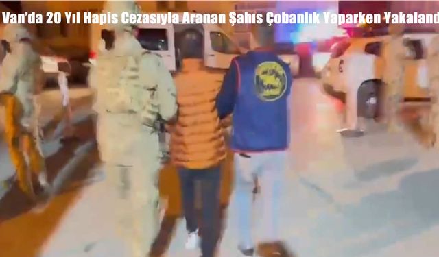 Van’da 20 Yıl Hapis Cezasıyla Aranan Şahıs Çobanlık Yaparken Yakalandı