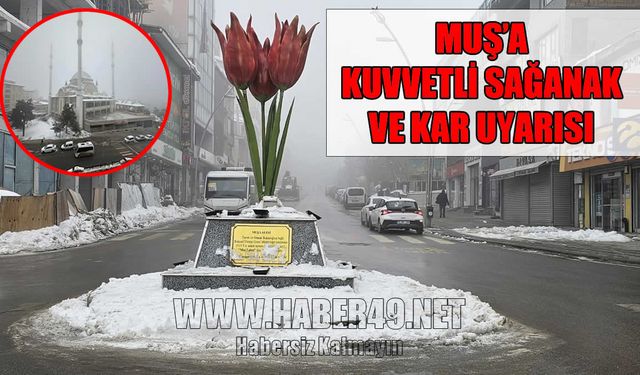 Meteoroloji'den Muş için kuvvetli sağanak ve kar uyarısı!