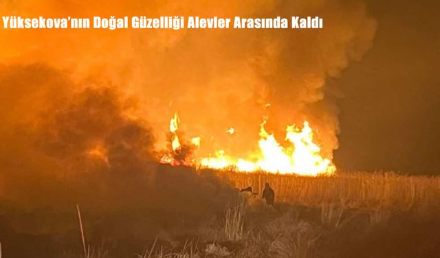 Hakkari’de Kuş Cennetinde Yangın Alarmı: Nehil Sazlığı Alevlere Teslim Oldu