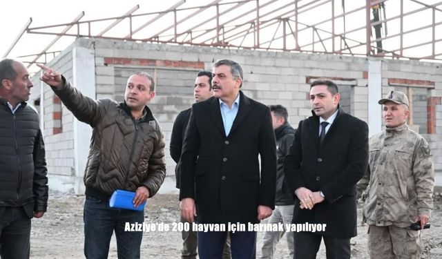 Aziziye'de 200 hayvan için barınak yapılıyor