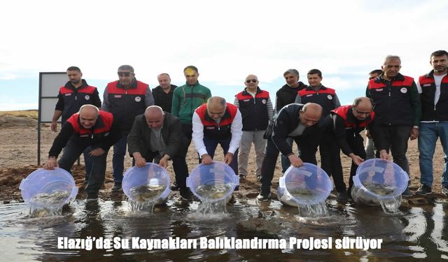 Elazığ’ın Suları Sazanlarla Canlanıyor: 11 Bin 800 Yavru Balık Doğaya Bırakıldı