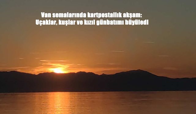 Van Semaları Kartpostallık Anlara Sahne Oldu: Göçmen Kuşlar ve Uçaklar Günbatımında Buluştu