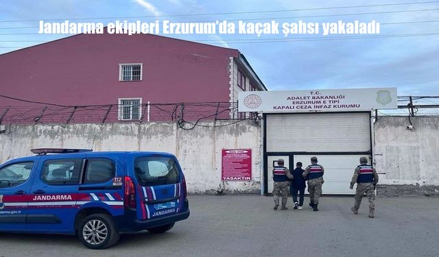 Jandarma ekipleri Erzurum'da kaçak şahsı yakaladı