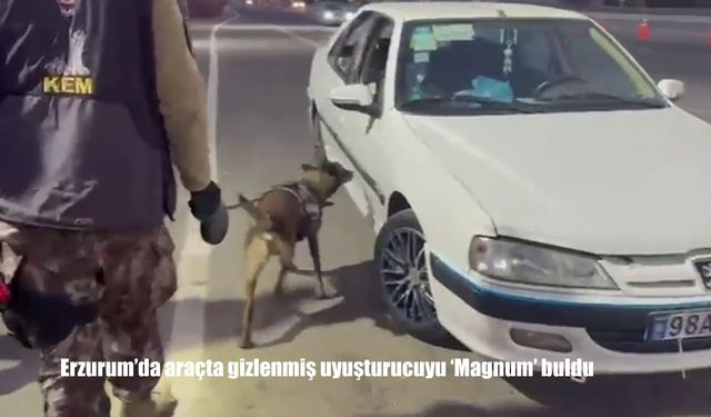 Erzurum'da araçta gizlenmiş uyuşturucuyu 'Magnum' buldu