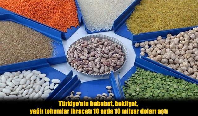 Türkiye’nin Hububat ve Bakliyat İhracatı 10 Milyar Doları Aştı