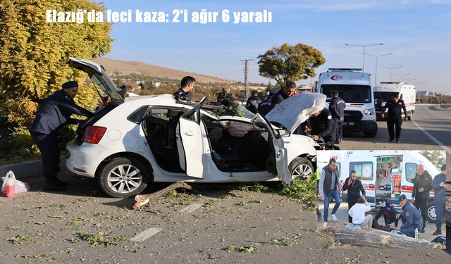 Elazığ’da otomobil aydınlatma direğine çarptı: 1’i Bebek 6 Yaralı