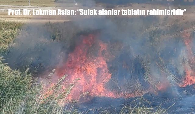 Prof. Dr. Lokman Aslan’dan Çarpıcı Uyarı: “Sulak Alanlar Tabiatın Rahimleridir!”