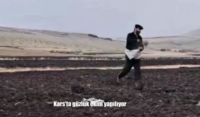Kars’ta güzlük ekim yapılıyor
