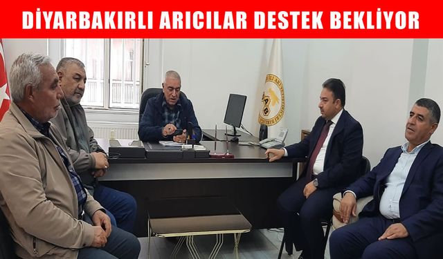Diyarbakır Arı Yetiştiricileri Birliği Başkanı Saylak: Belediyeler randevu bile vermiyor, arıcı zor durumda