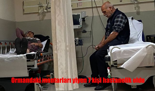 Ormandaki mantarları yiyen 7 kişi hastanelik oldu