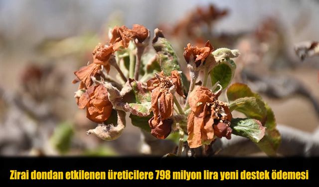 Bakan Yumaklı Duyurdu: Çiftçilere 798 Milyon Lira Destek Hesaplara Yatıyor