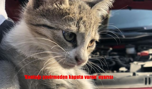 Soğuk Havada Sürücülere Uyarı: ‘Kontağı Çevirmeden Kaputa Vurun’