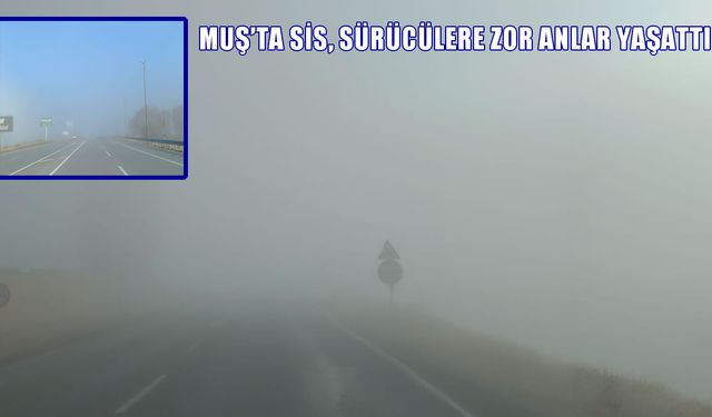 Muş'u sis kapladı: Görüş mesafesi 10 metreye düştü