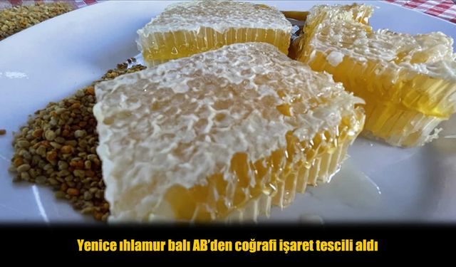 Avrupa Yenice Balını Seçti! AB’den Resmi Onay Geldi