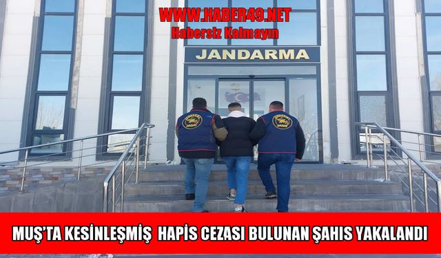Muş'ta 4 yıl hapis cezası bulunan firari şahıs yakalandı