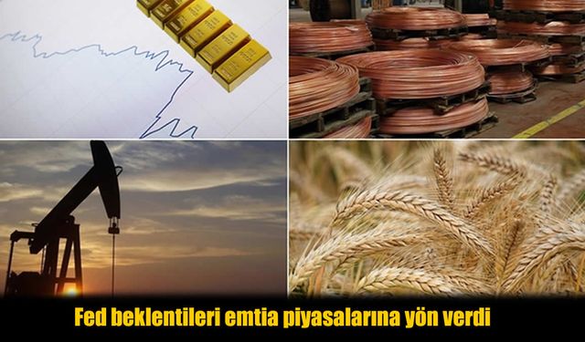 Bu Haftanın Sürprizi Gümüş Oldu: Yatırımcı Neyi Fark Etti?