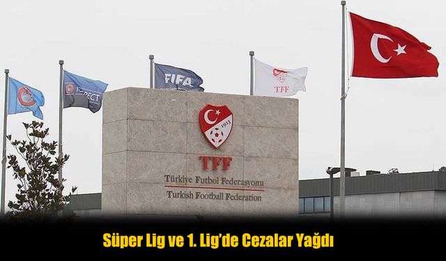 PFDK, Süper Lig'den 5 kulübe para cezası verdi