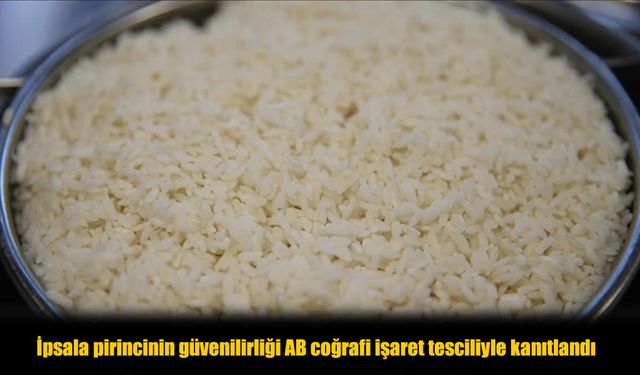 Trakya’nın İlk AB Tescilli Ürünü: İpsala Pirinci Küresel Pazara Açılıyor