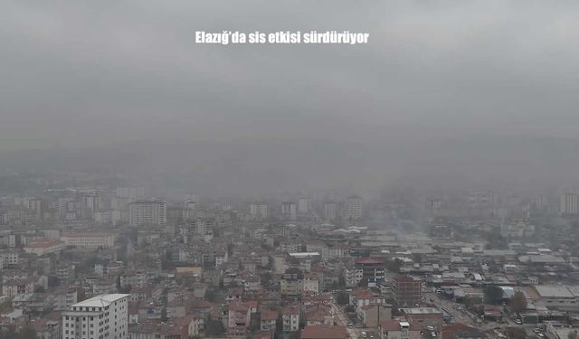 Elazığ’da Sis Etkisini Sürdürüyor