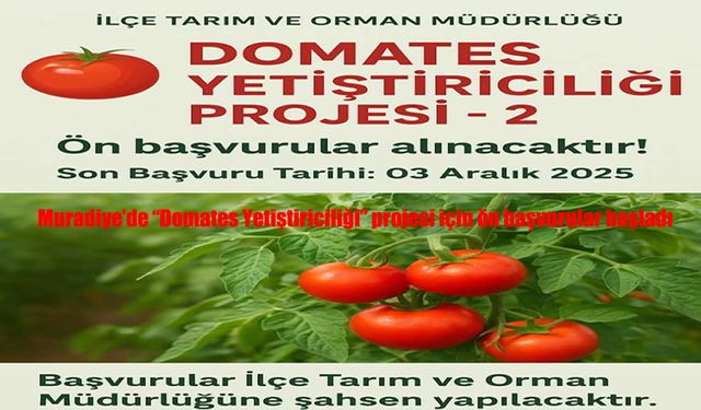 Muradiye’de “Domates Yetiştiriciliği” Projesi İçin Başvurular Başladı