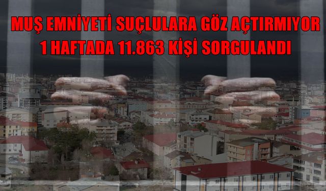 Muş'ta güvenlik önlemleri artırıldı: 11 binden fazla kişi sorgulandı