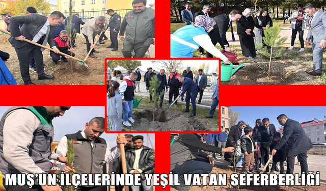 Milli Ağaçlandırma Günü: Muş’un ilçelerinde fidanlar toprakla buluştu