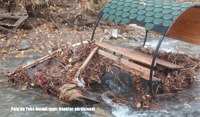 Palu'da Teke Deresi taştı: Banklar sürüklendi