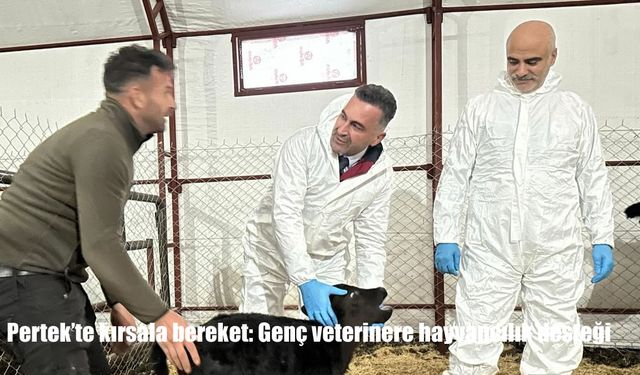 Pertek'te kırsala bereket: Genç veterinere hayvancılık desteği