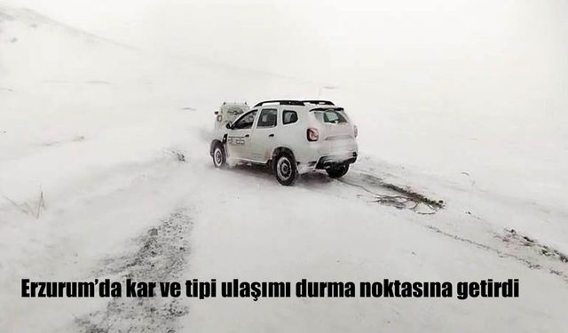 Erzurum'da kar ve tipi ulaşımı durma noktasına getirdi