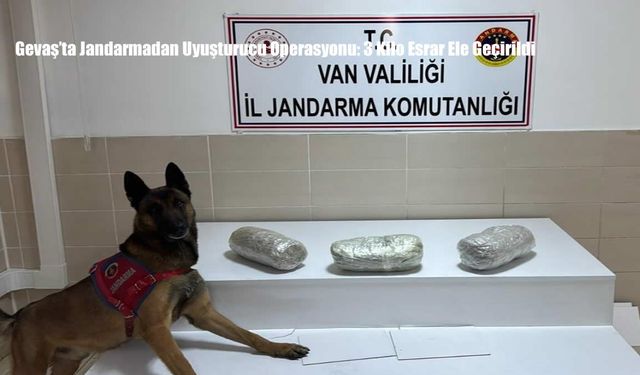 Gevaş’ta Jandarmadan Uyuşturucu Operasyonu: 3 Kilo Esrar Ele Geçirildi