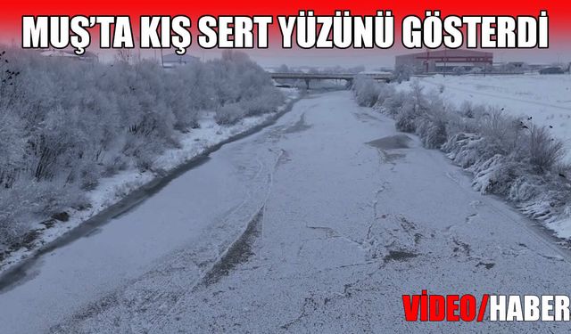 Muş buz kesti: Dere ve göletler dondu