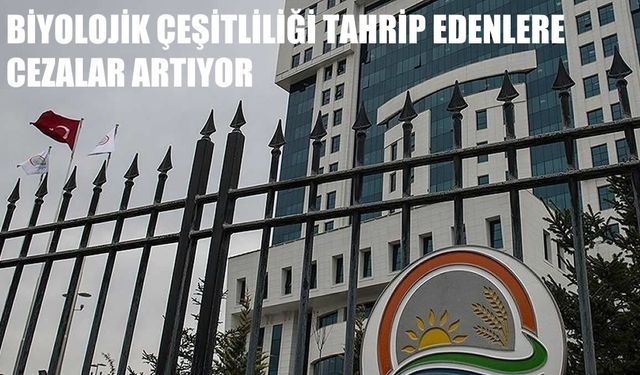 Biyolojik Çeşitliliği Tahrip Edenlere Cezalar Artıyor