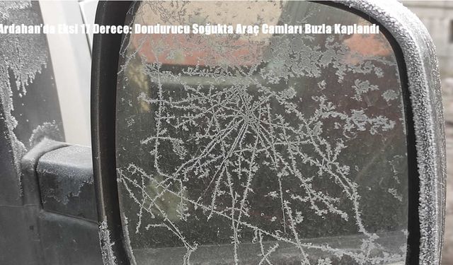 Ardahan’da Eksi 17 Derece: Dondurucu Soğukta Araç Camları Buzla Kaplandı