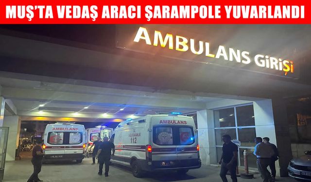 Muş'ta VEDAŞ aracı şarampole yuvarlandı: 1 ağır yaralı
