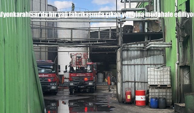 Afyonkarahisar'da bir yağ fabrikasında çıkan yangına müdahale ediliyor