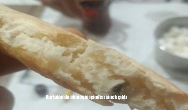 Kurtalan’da ekmeğin içinden sinek çıktı