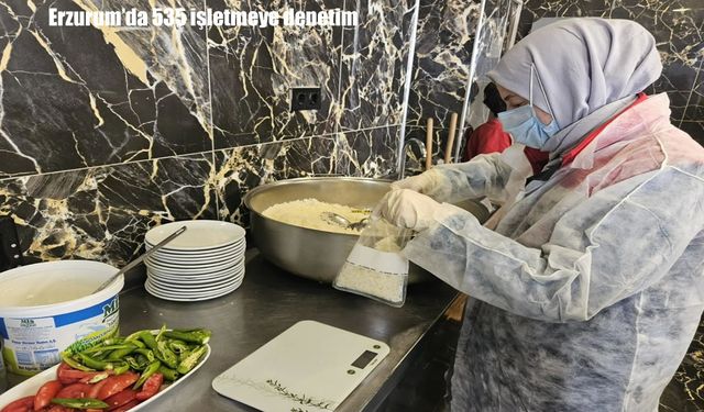 Erzurum’da 535 işletme denetlendi