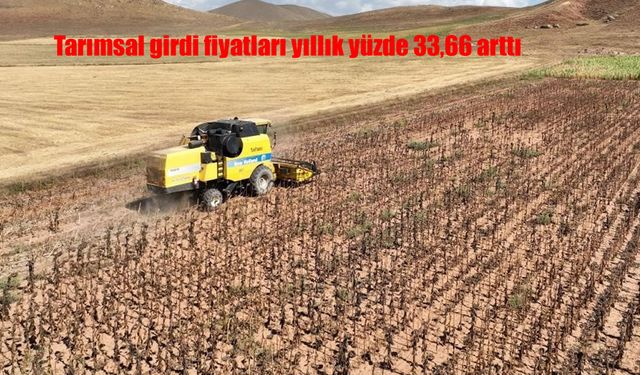 Tarımsal girdi fiyatları yıllık yüzde 33,66 arttı