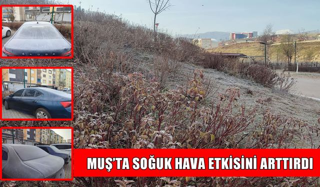 Muş’ta araç camları buz tuttu, çimler kırağıyla kaplandı