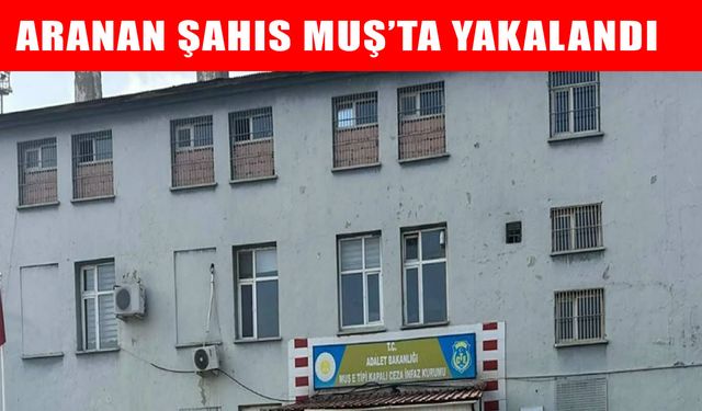 Muş’ta 4 yıl hapis cezasıyla aranan firari yakalandı