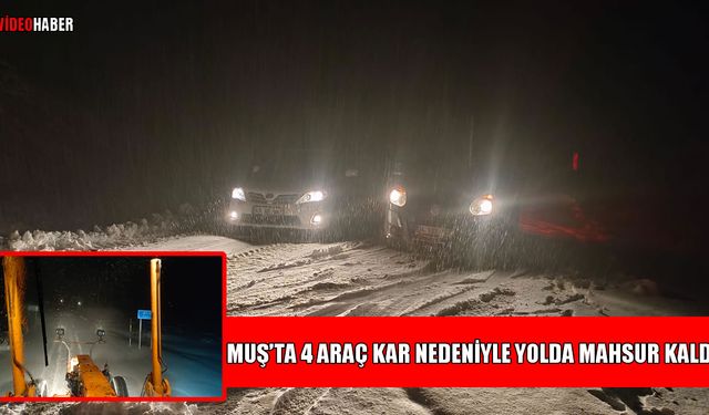 Kar aniden bastırdı: Muş-Mutki yolunda 4 araç mahsur kaldı