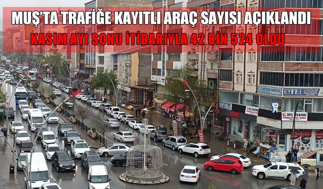 Muş trafiğindeki araç sayısı açıklandı: Hangi araçtan ne kadar var?