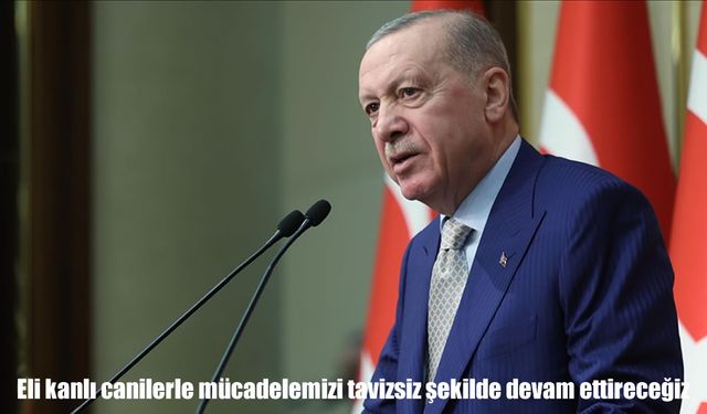 Cumhurbaşkanı Erdoğan: Eli kanlı canilerle mücadelemizi tavizsiz şekilde devam ettireceğiz
