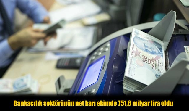 Türk Bankacılık Sektörü Ekim’de 751,6 Milyar Lira Kar Elde Etti