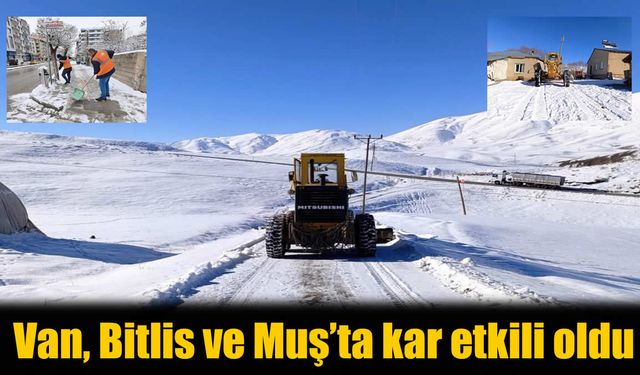 Muş, Bitlis ve Van’da kar yağışı ulaşımı olumsuz etkiledi