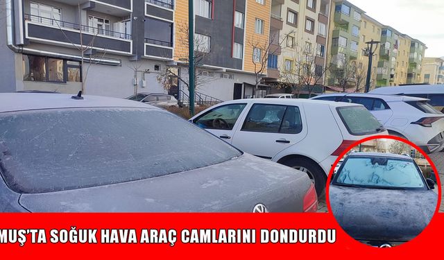 Muş'ta dondurucu soğuklar başladı: Araçların camları dondu