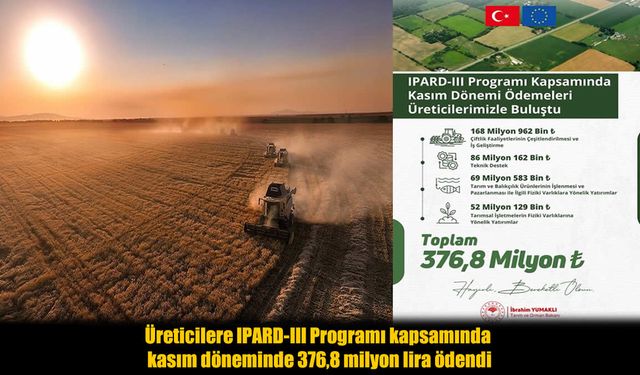 Kasım Ayında Çiftçilere Rekor Destek: 376,8 Milyon Lira