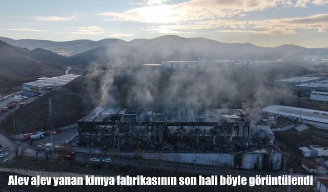 Alev alev yanan kimya fabrikasından geriye enkaz kaldı